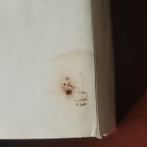 Dept 56  Heritage Village, North Pole Series,  Elves Bunkhouse, 5601-4 - Picture 14 of 14